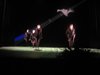 il Balletto