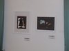 mostra 058