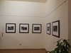 mostra 049